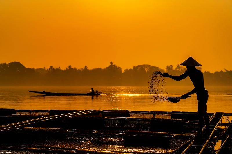 Ao nuôi thủy sản bền vững với cấu trúc địa kỹ thuật